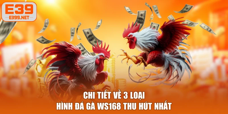 Chi tiết về 3 loại hình đá gà WS168 thu hút nhất