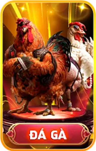 icondaga