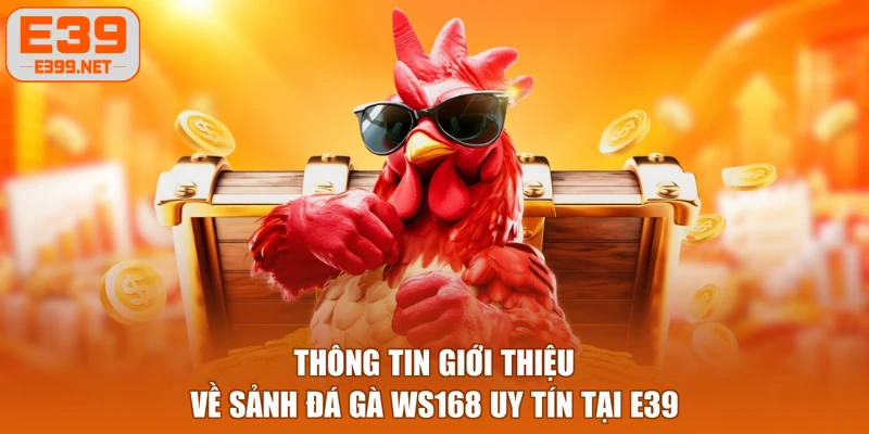 Thông tin giới thiệu về sảnh đá gà WS168 uy tín tại E39